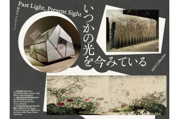 MOT Collection: Past Light, Present Sight